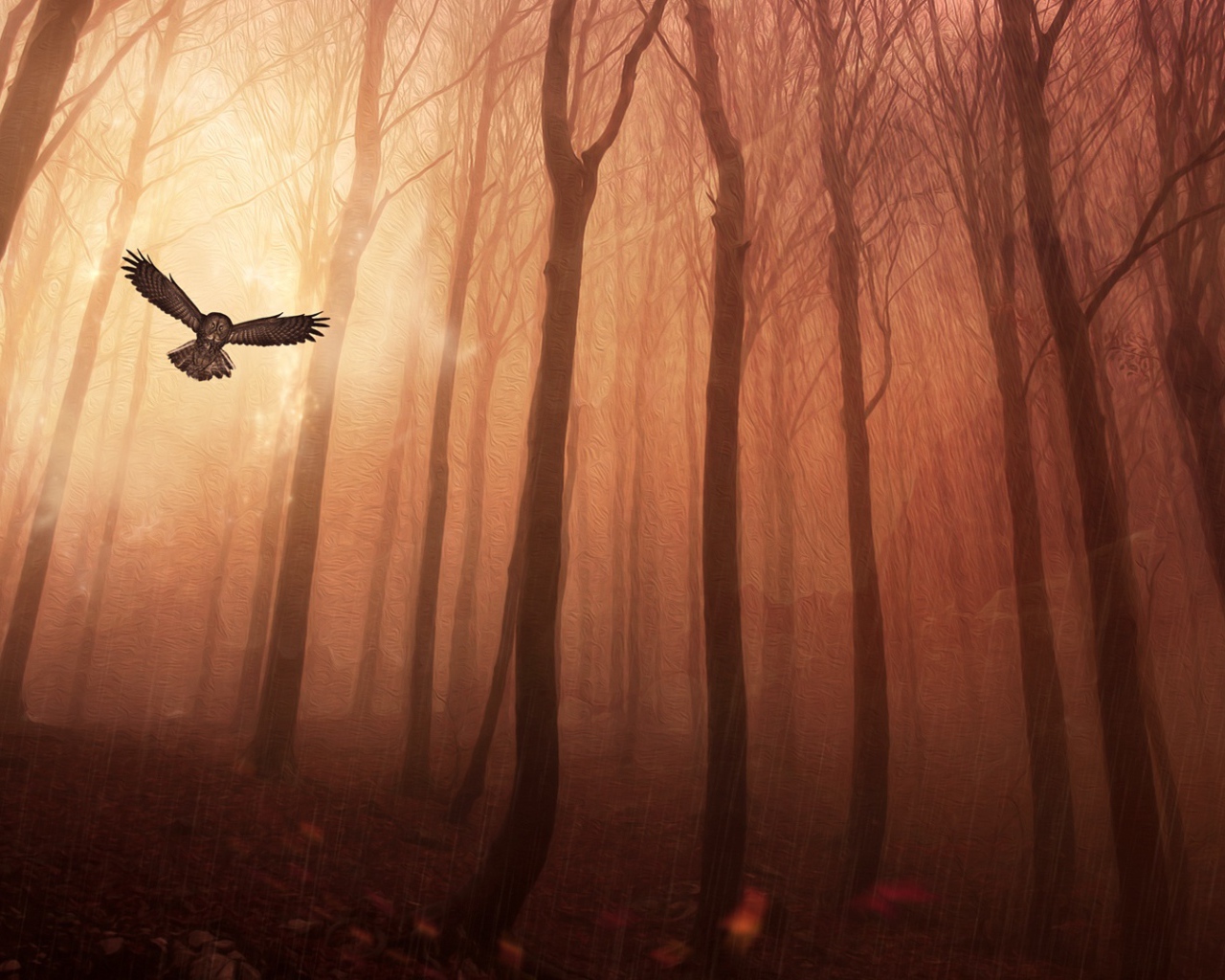 Сова в лесу