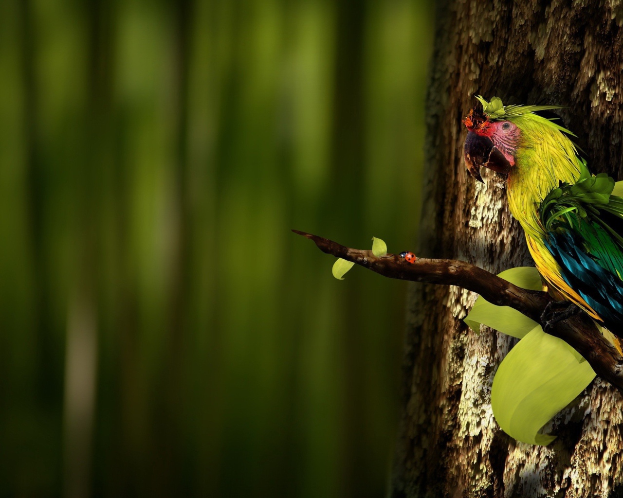 Попугай на ветке