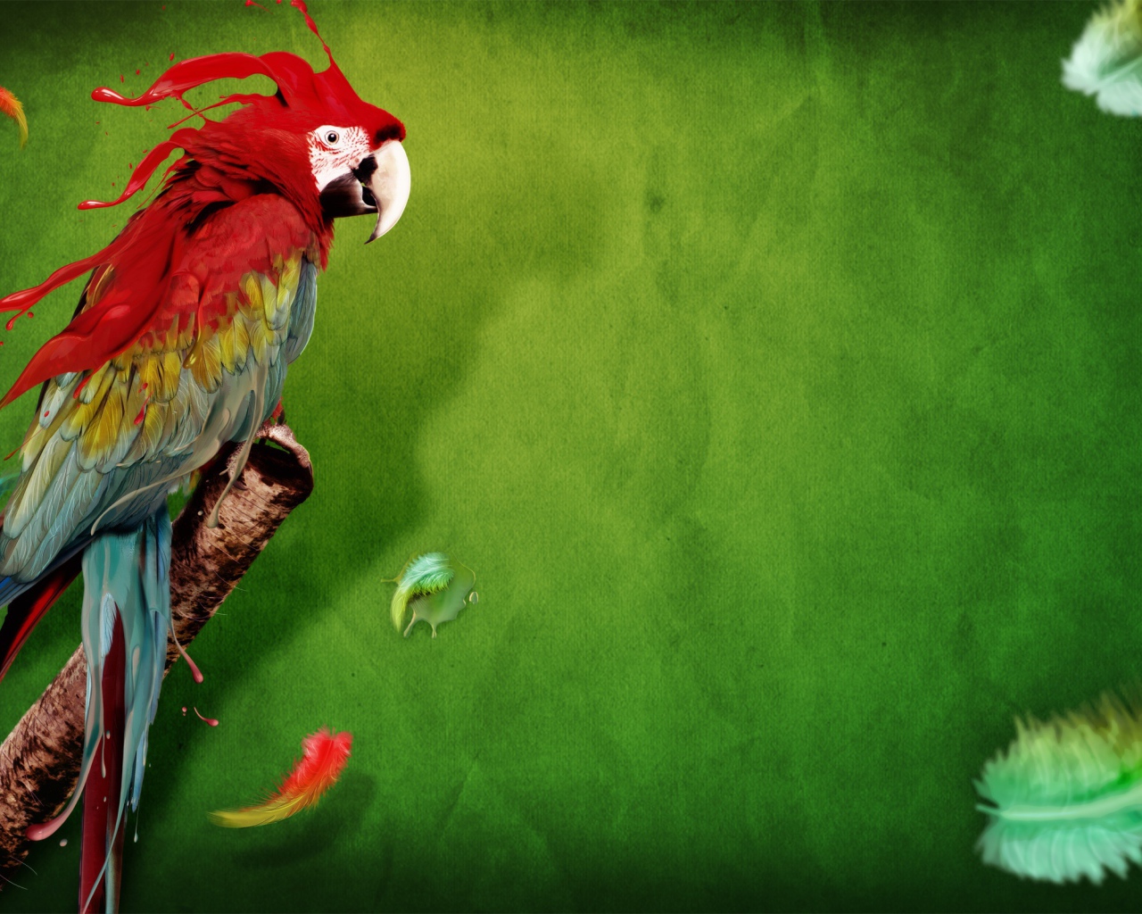 Всплеск попугая