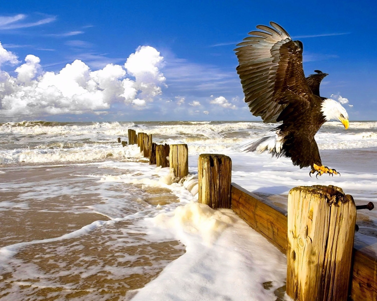 Орел садится на столб