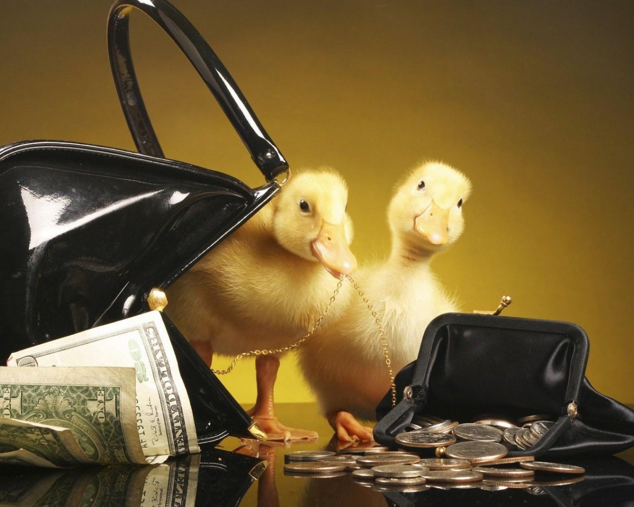 Утята у кошельков с деньгами