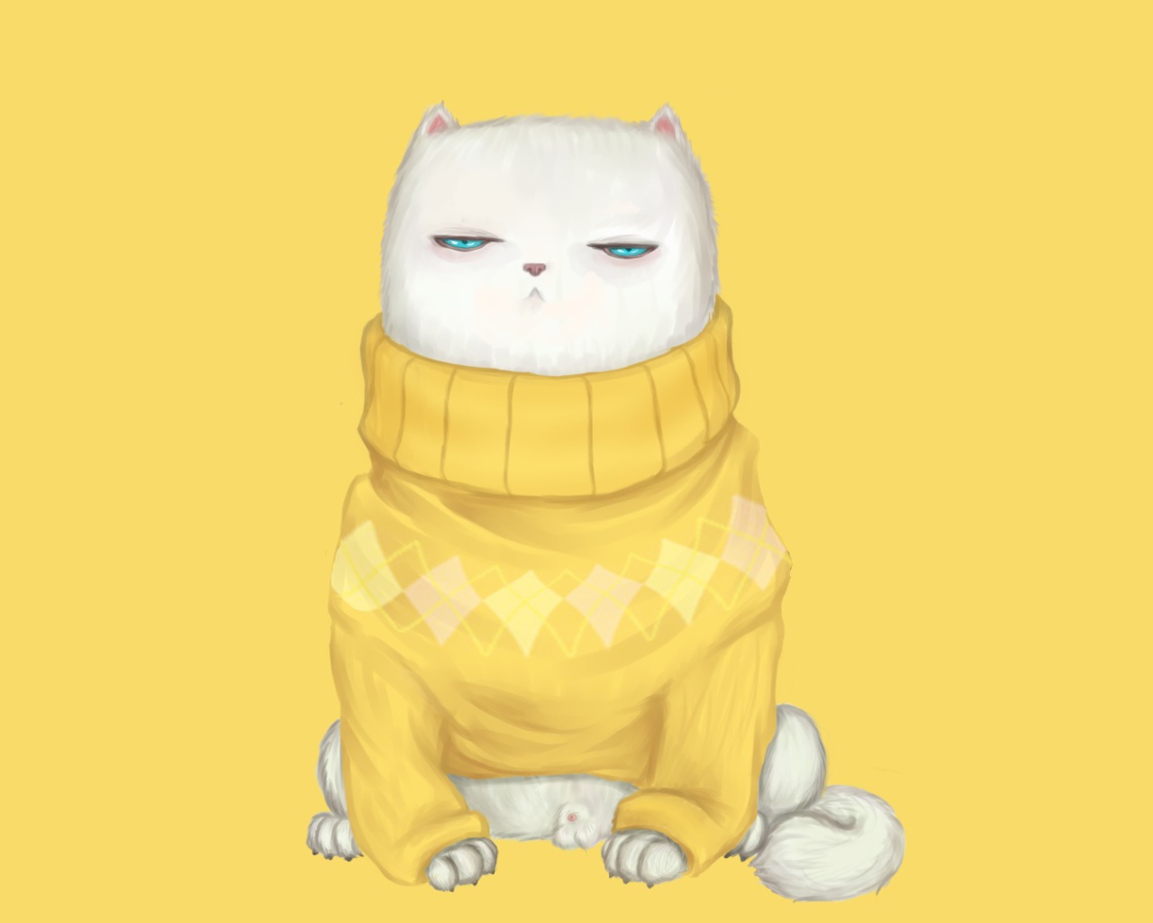 Cat in sweater