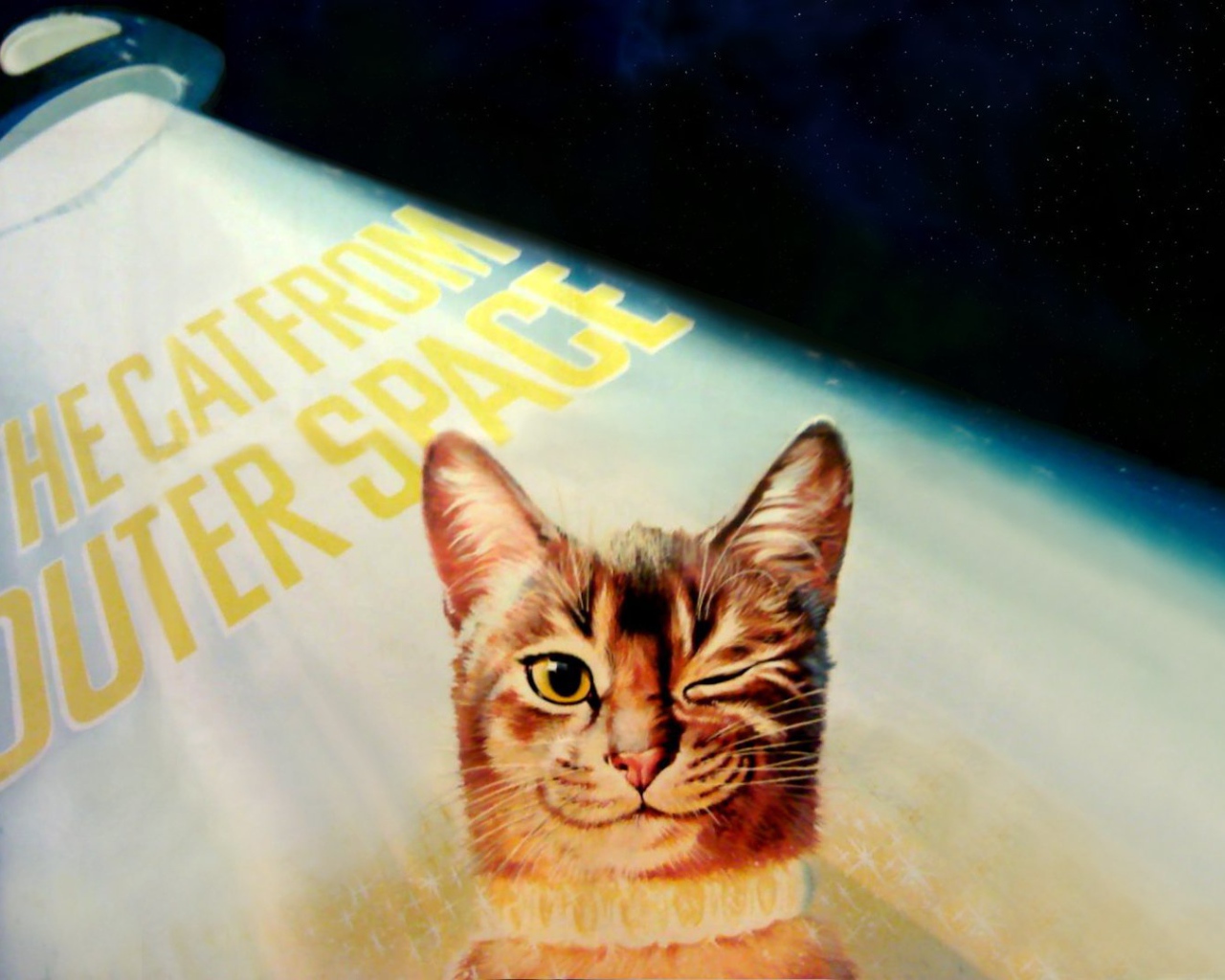 Кот подмигивает