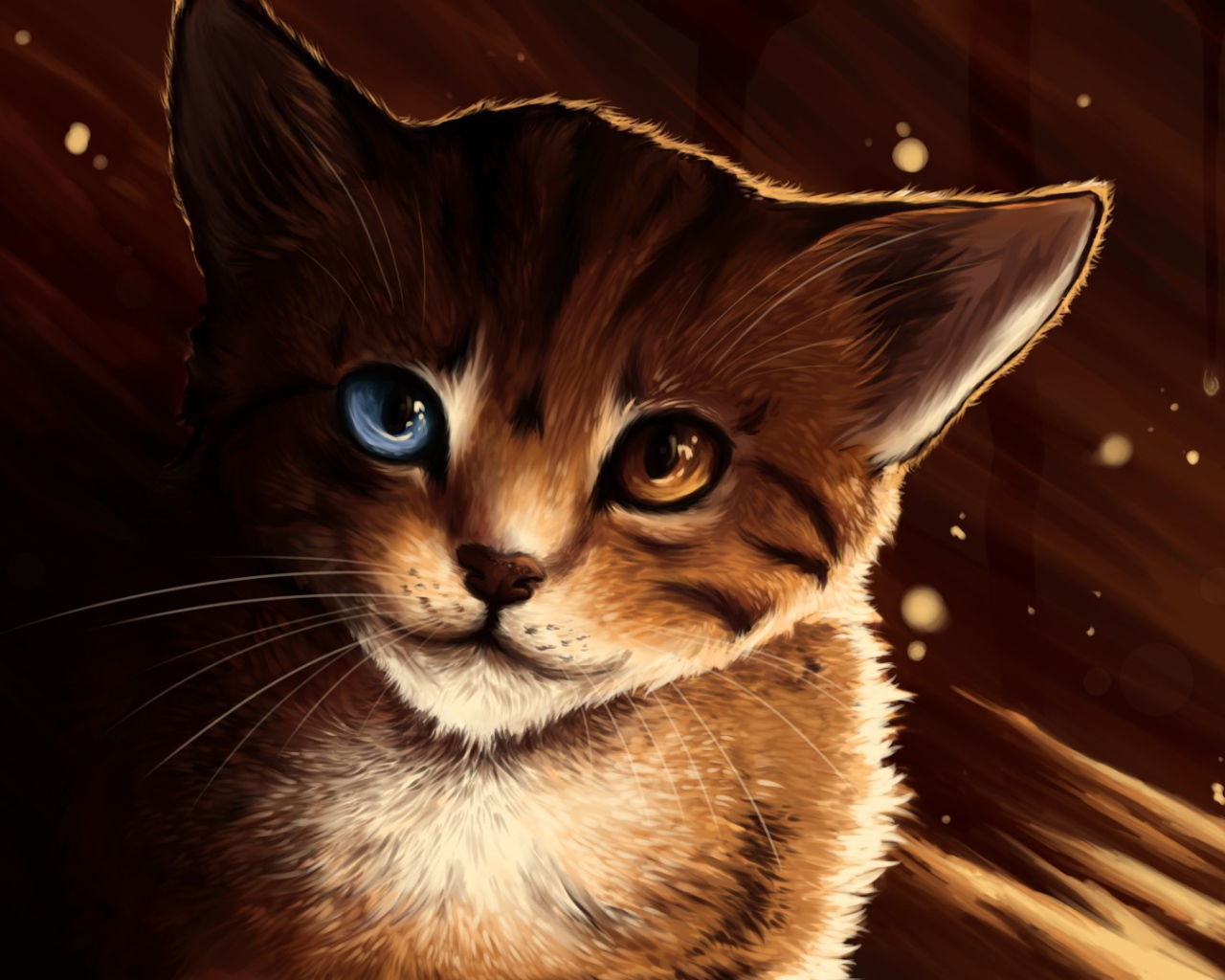 Кот с разными глазами