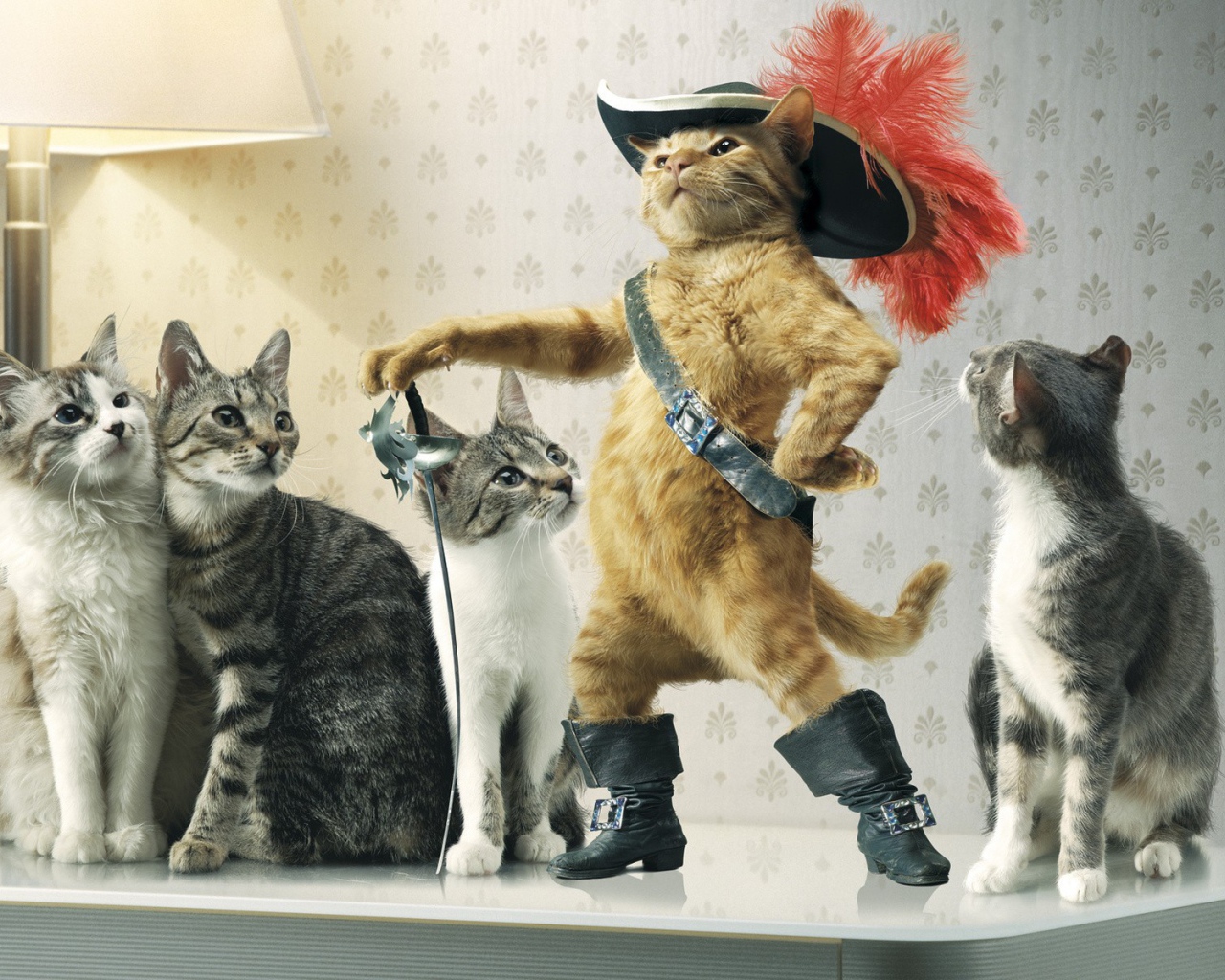 Кот в сапогах среди кошек