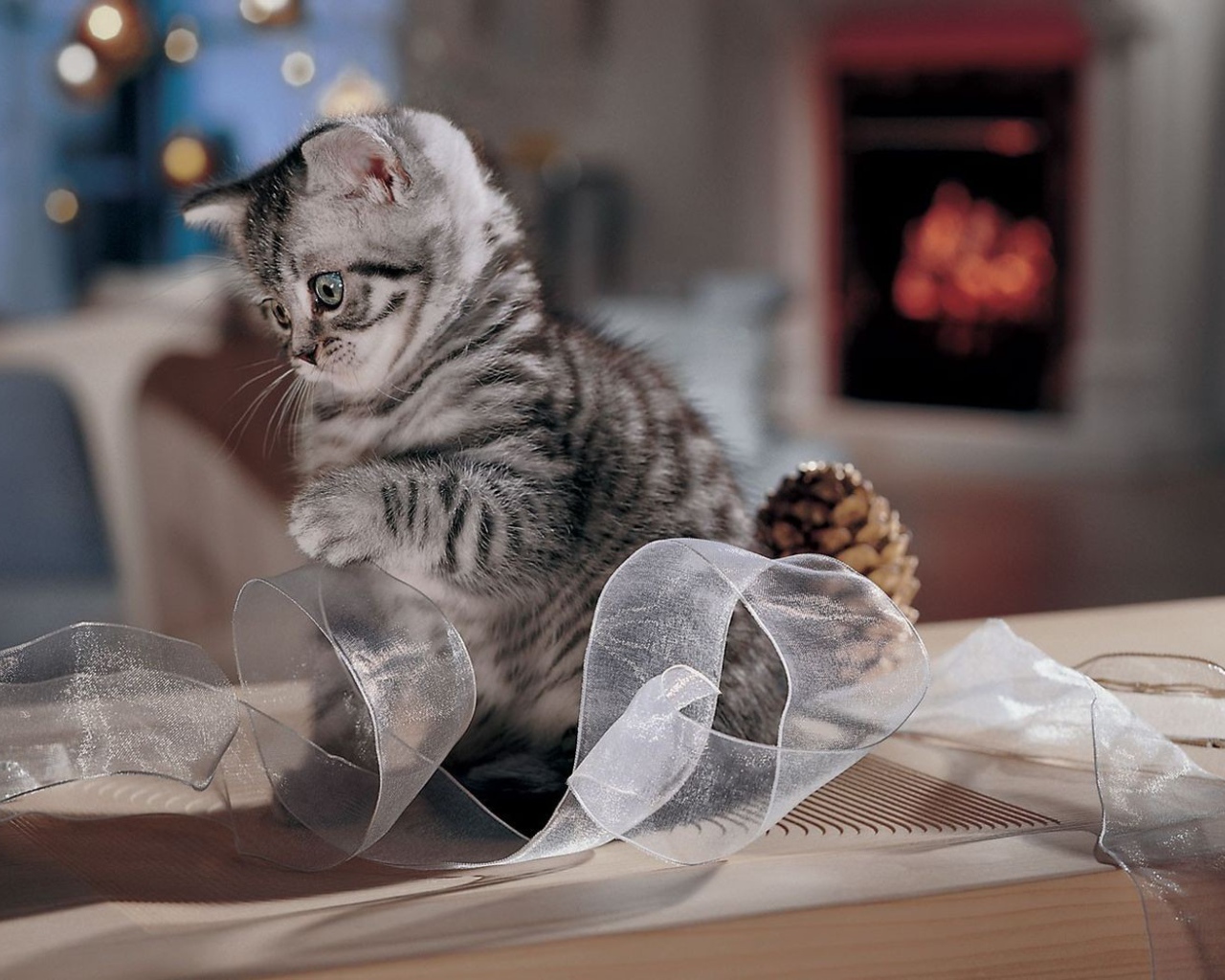 Котенок играет с лентой