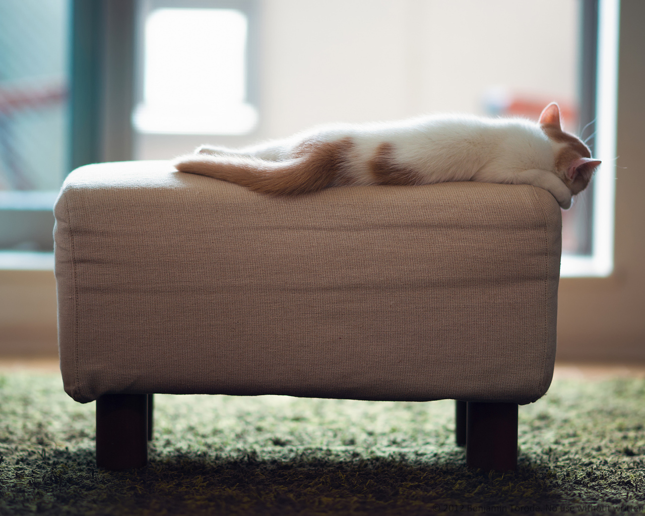 Котенок спит на пуфике