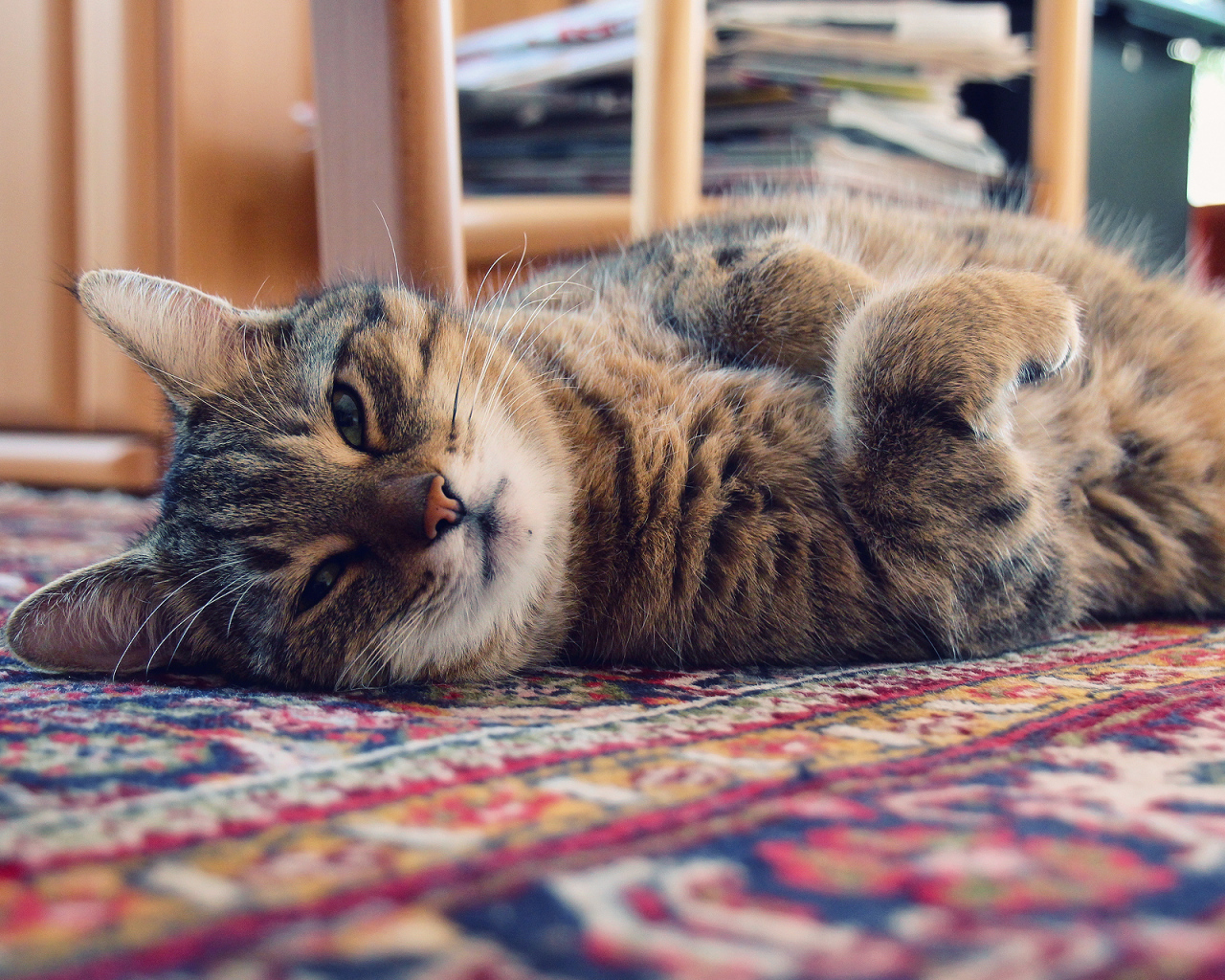 Кошка лежит на ковре