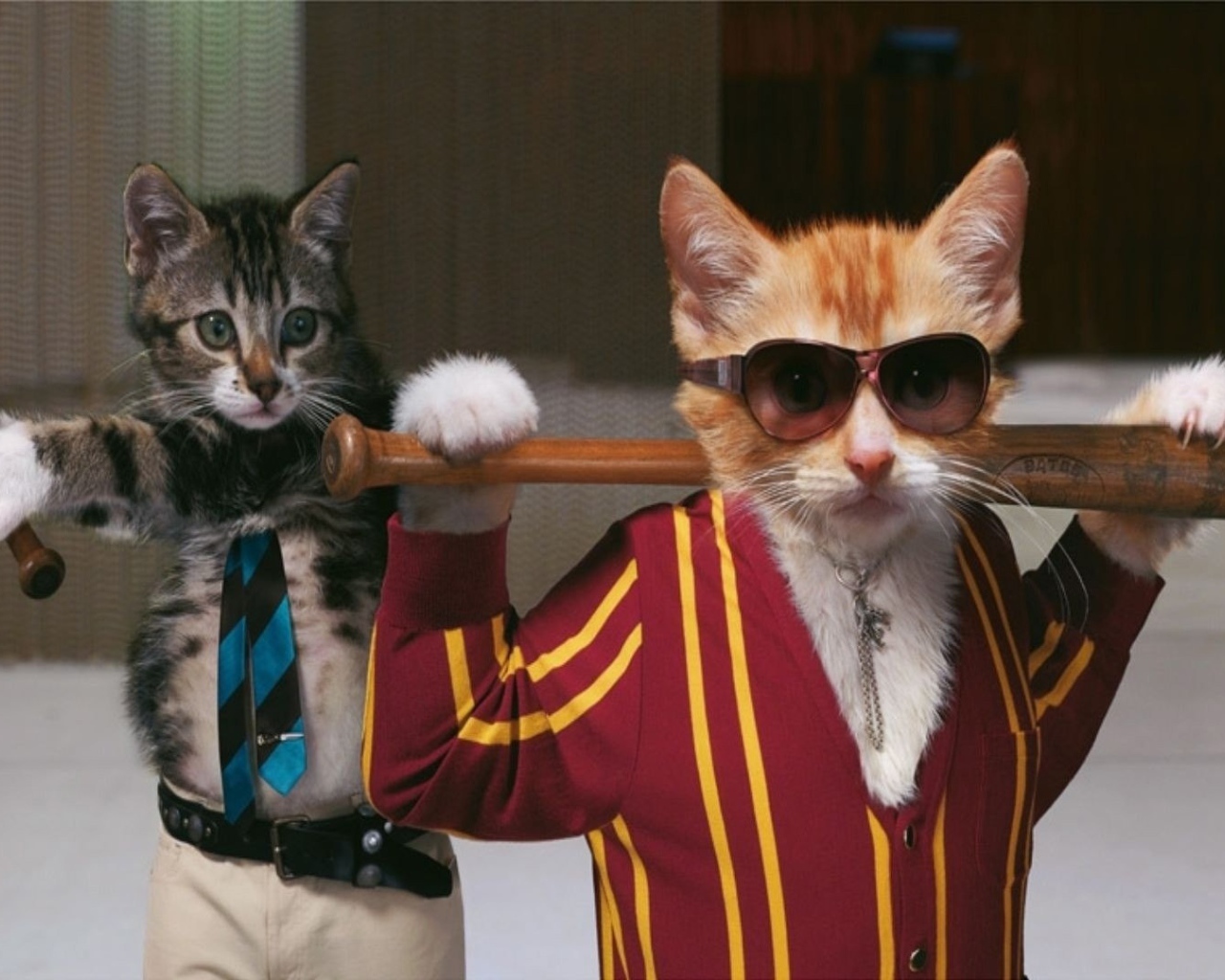 Коты с битами