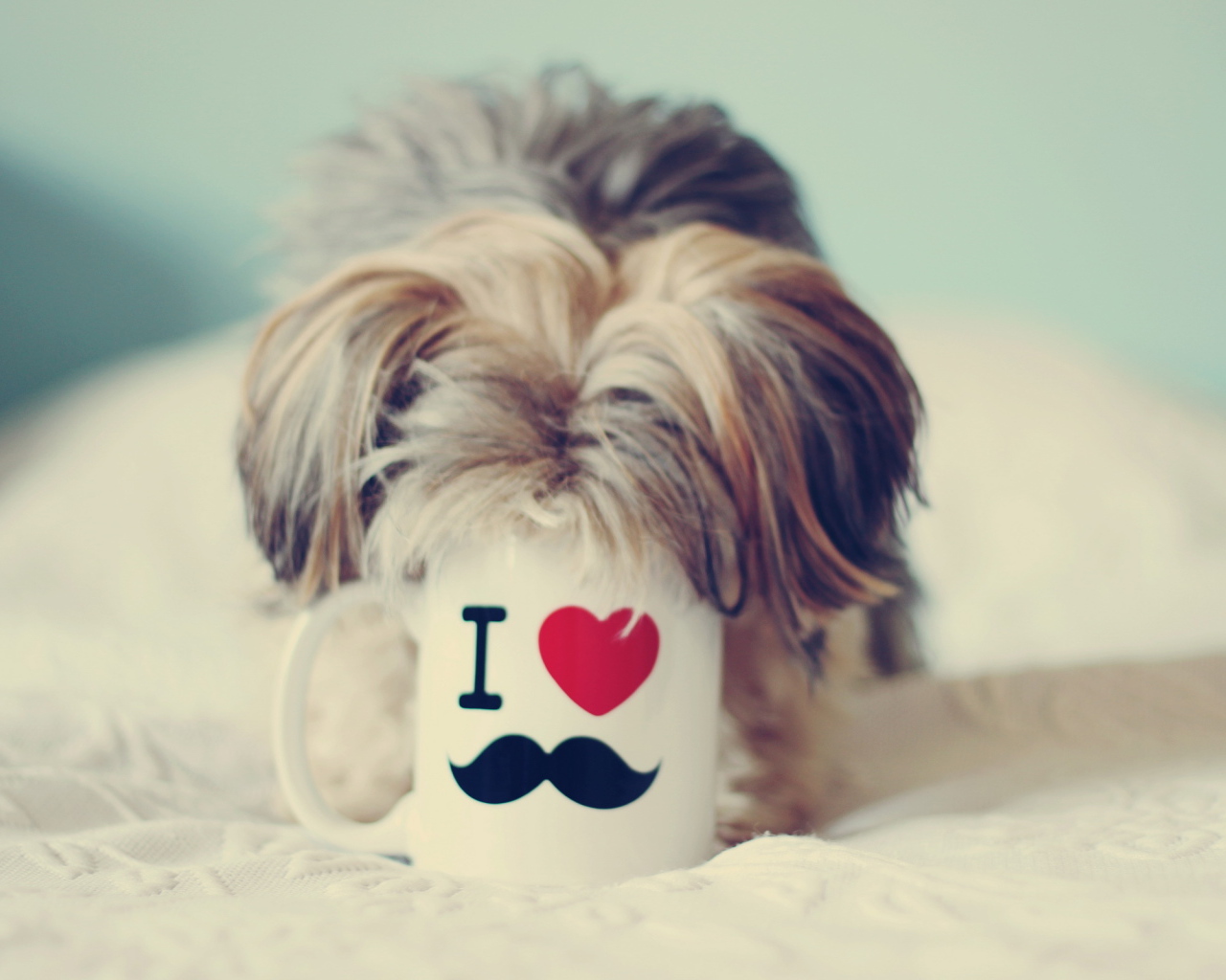 Собака пьет из чашки