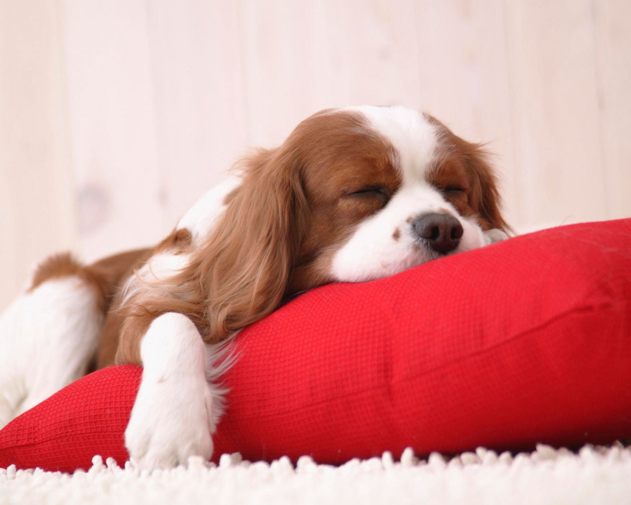 Время вздремнуть