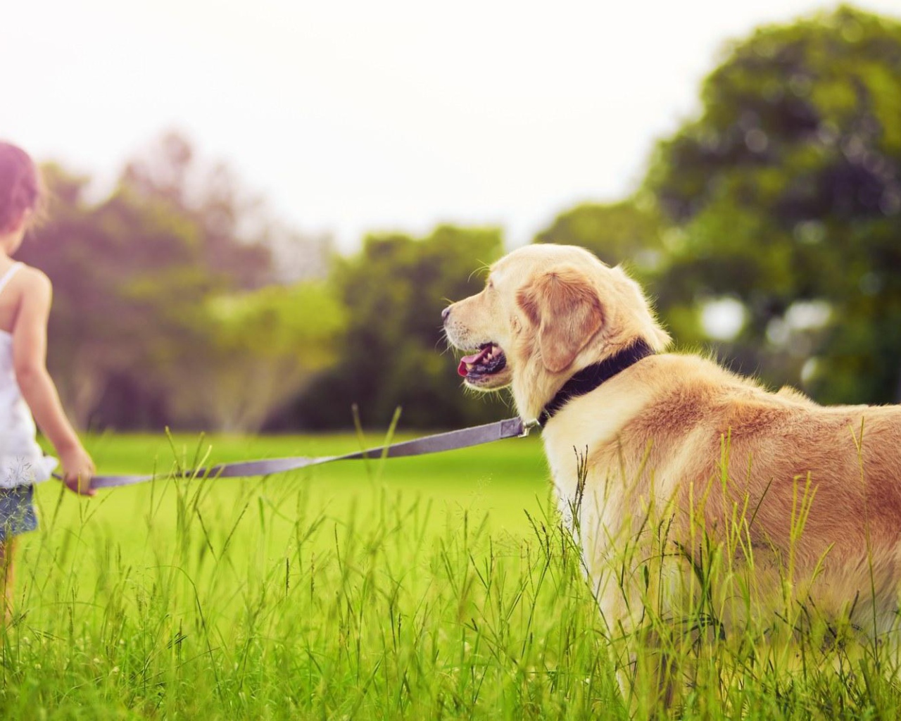 Девочка с золотым ретривером