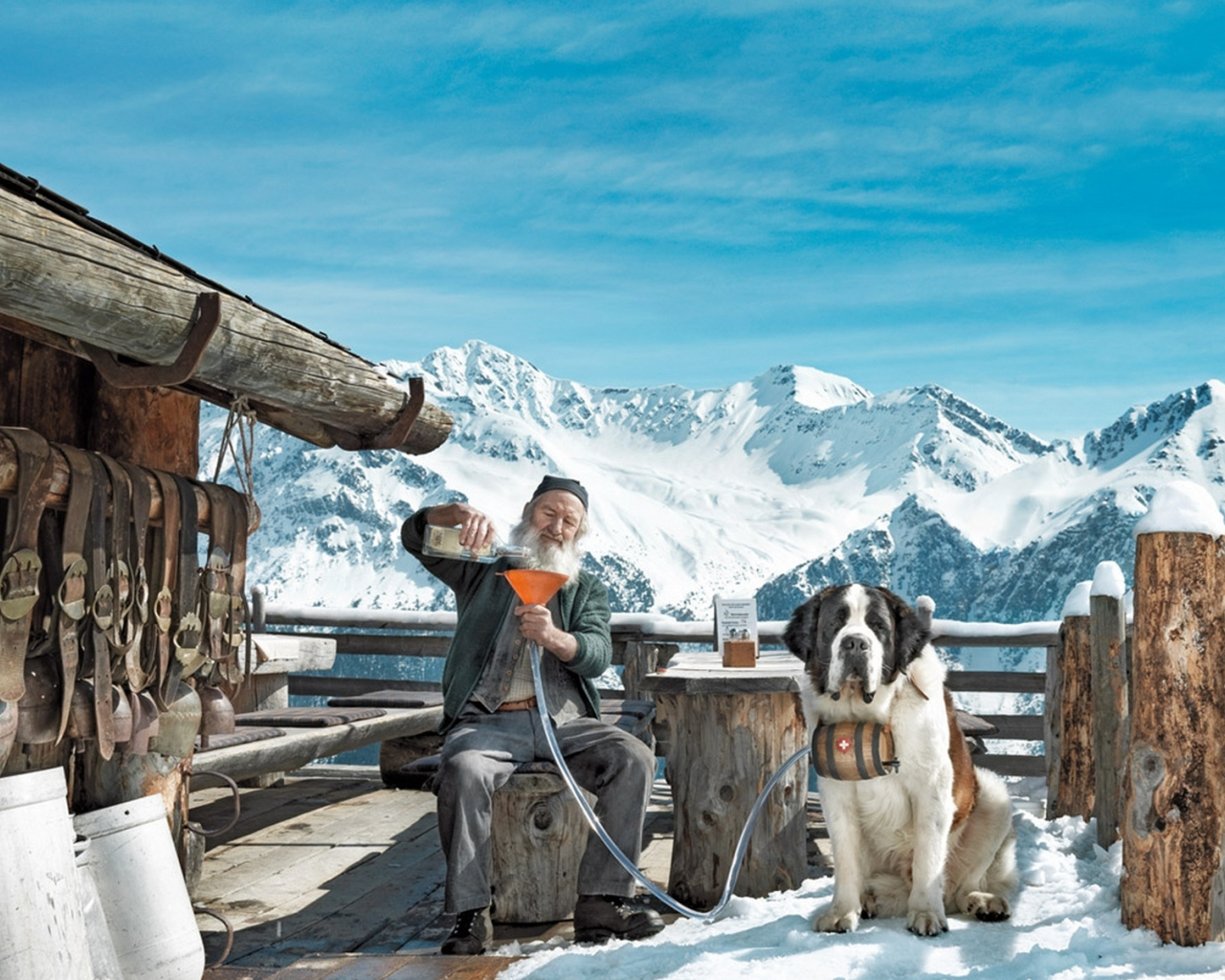 Старик с собакой сенбернаром