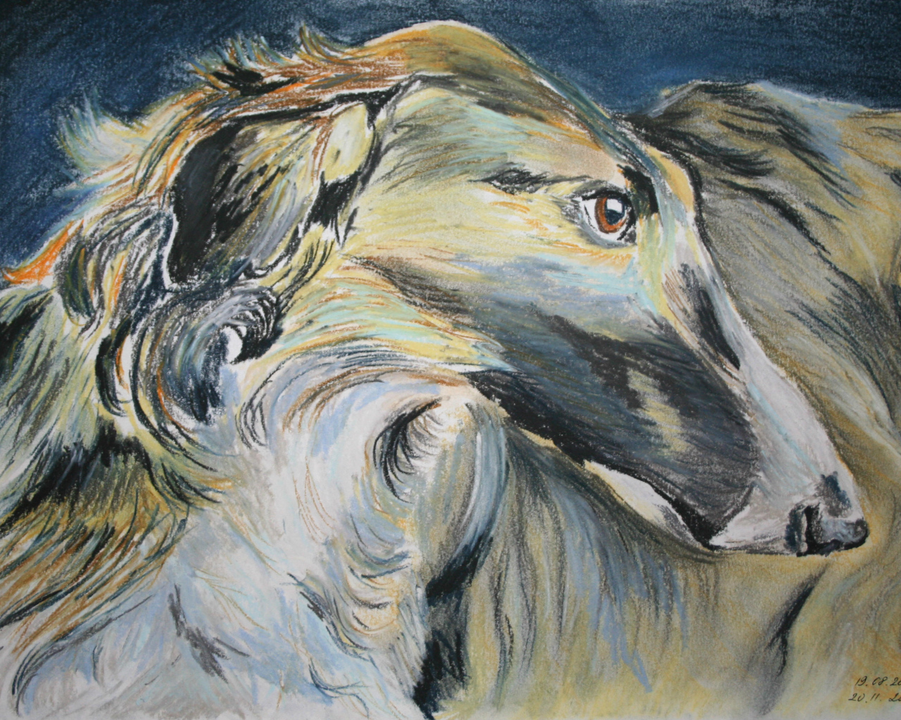 Русская борзая на рисунке