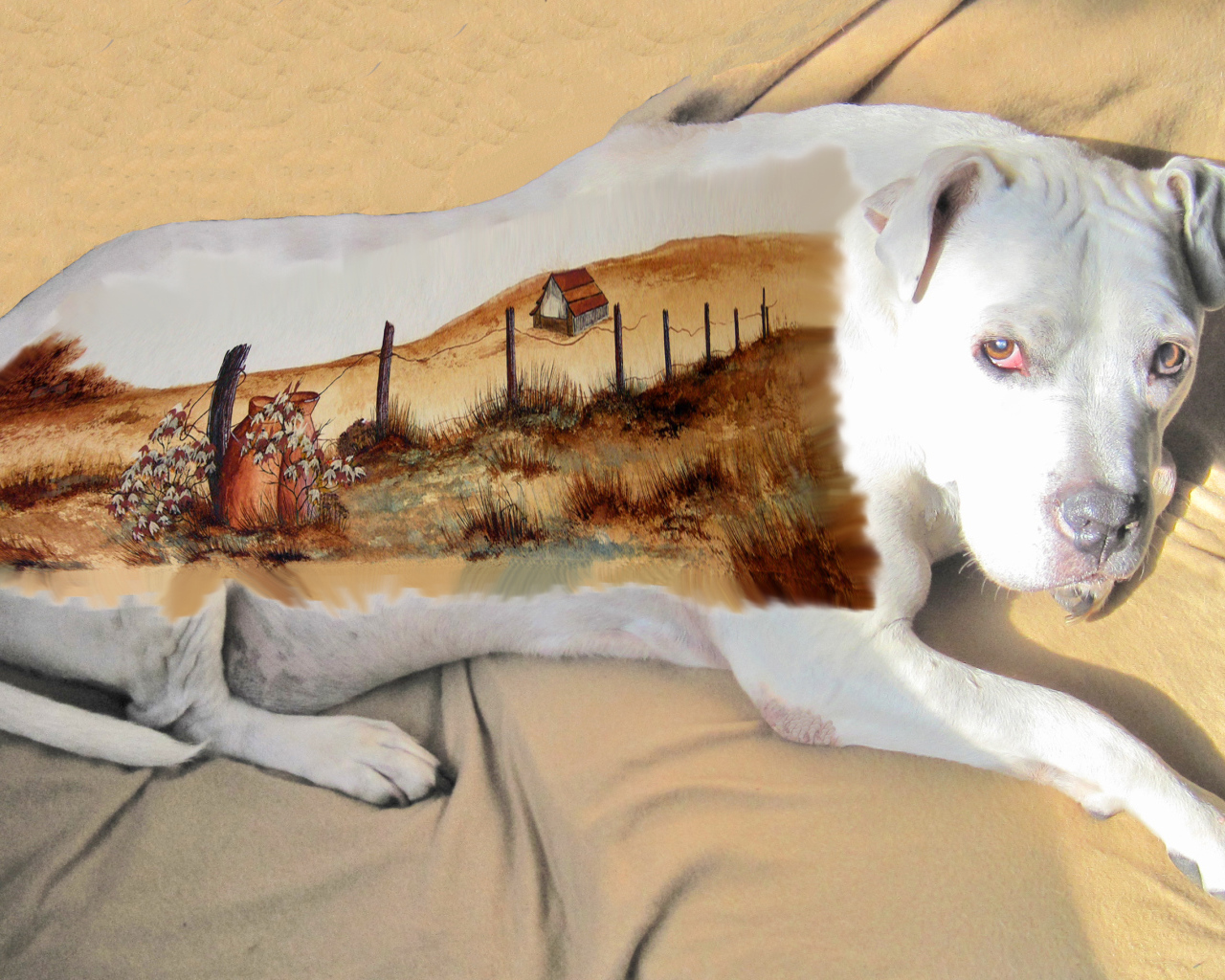 Картина на спине американского стаффордширского терьера
