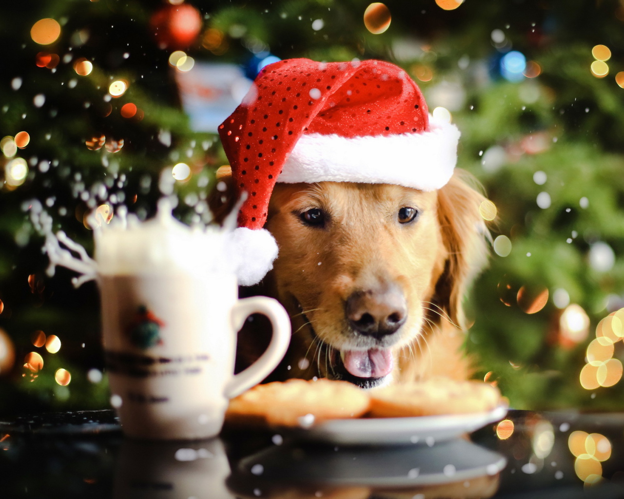 Новогодняя собака