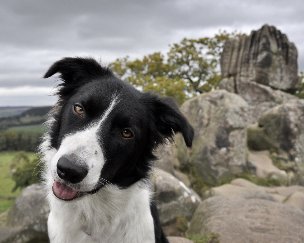 Дружелюбный взгляд