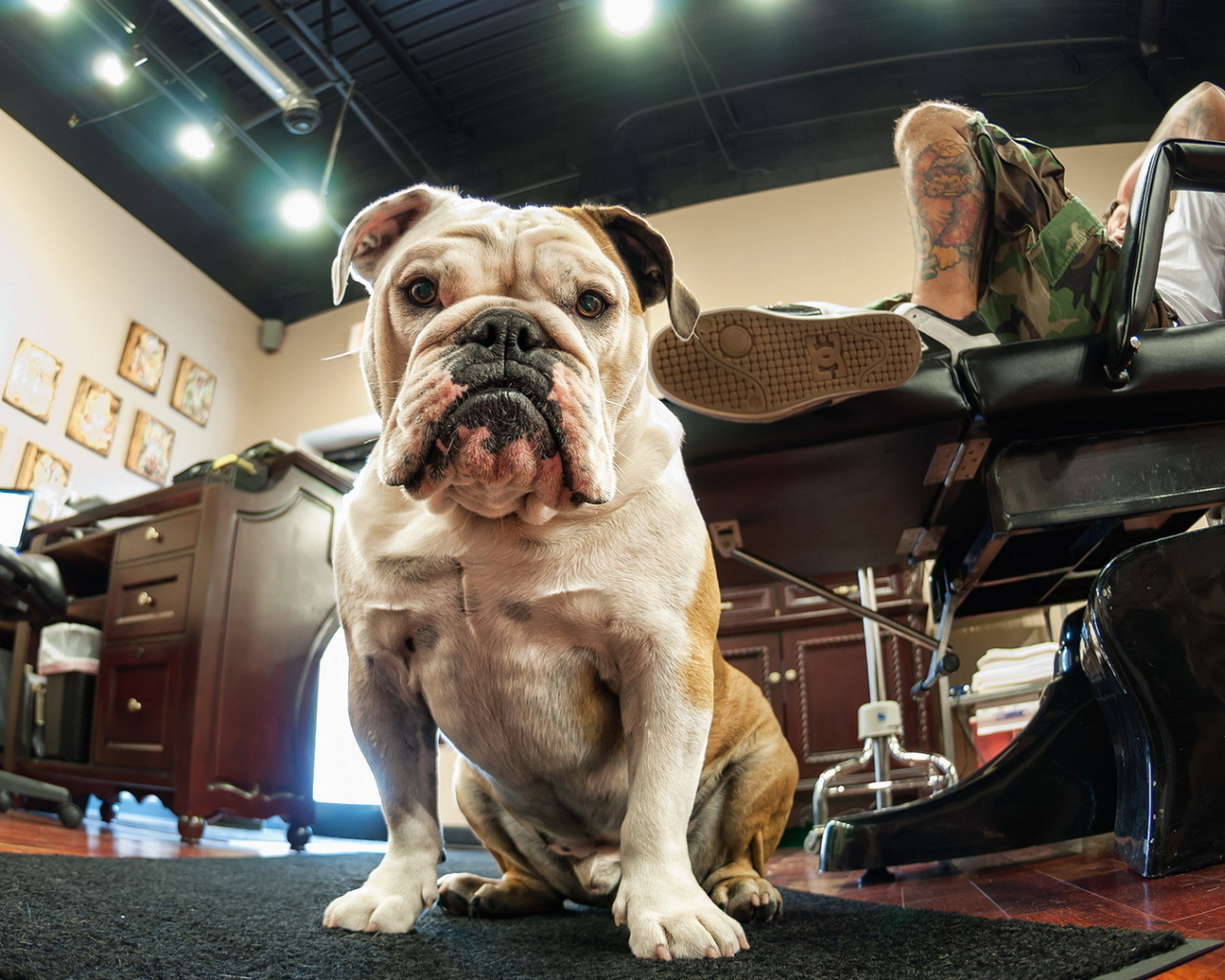 Собака у ног хозяина