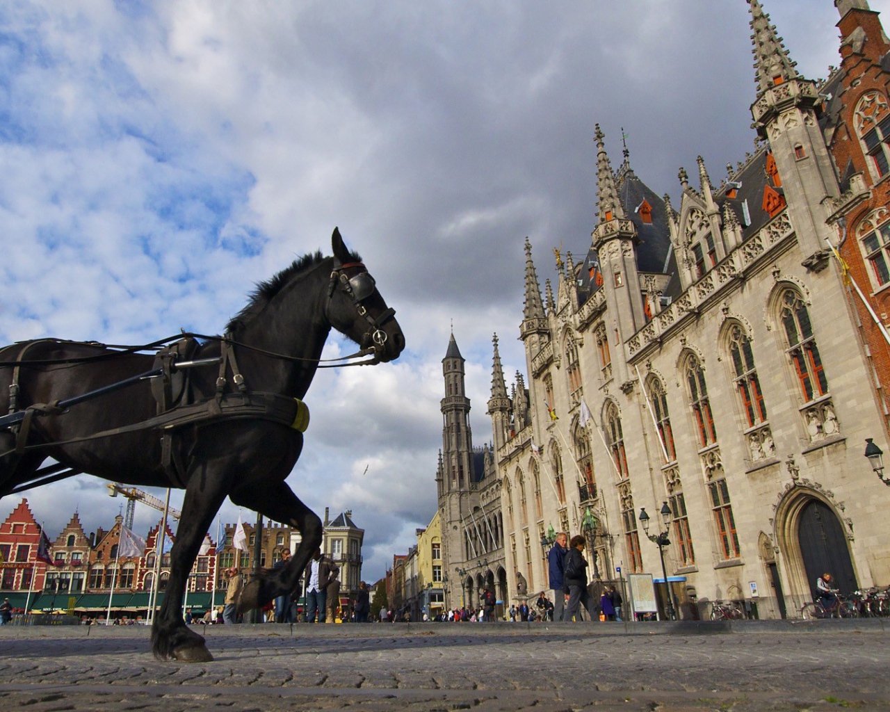 Лошадь в городе