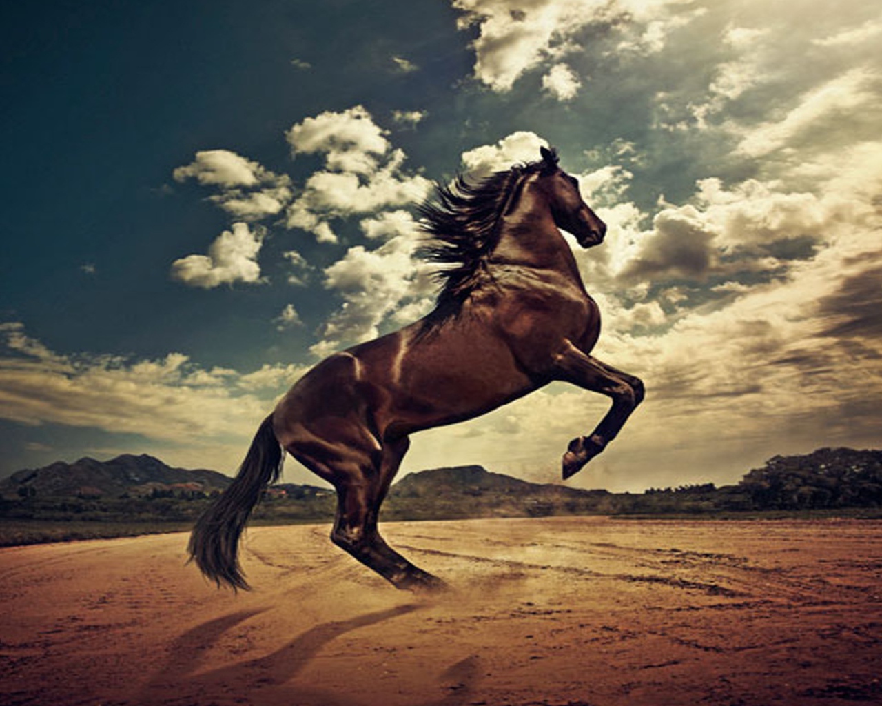 Лошадь гарцует 