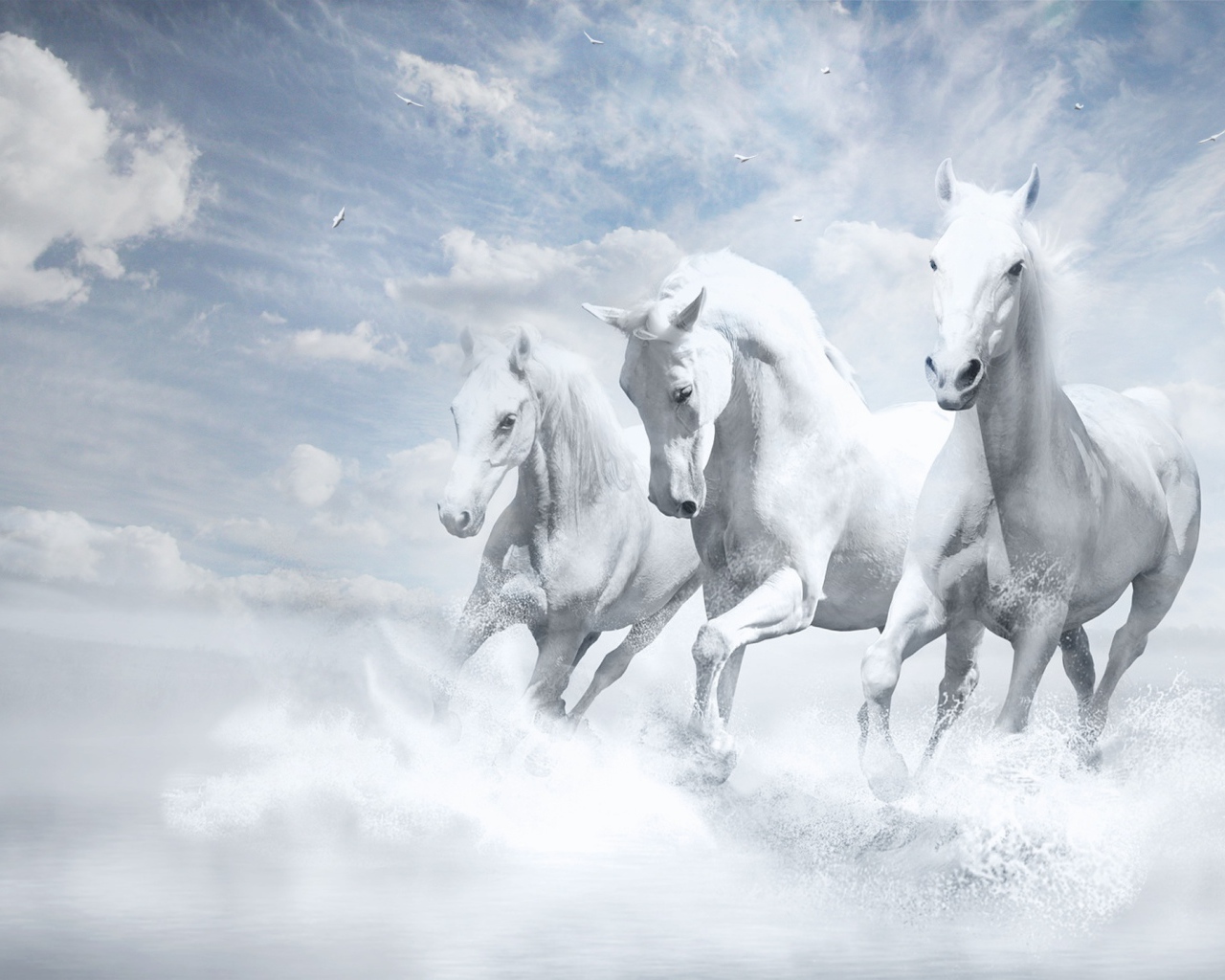 Белые лошади