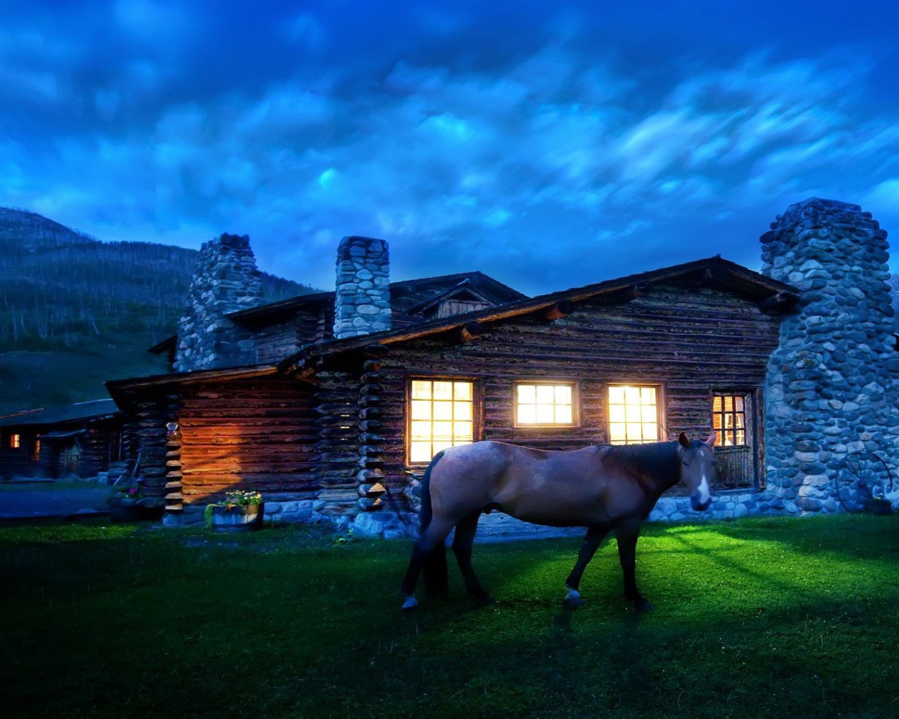 Лошадь около дома