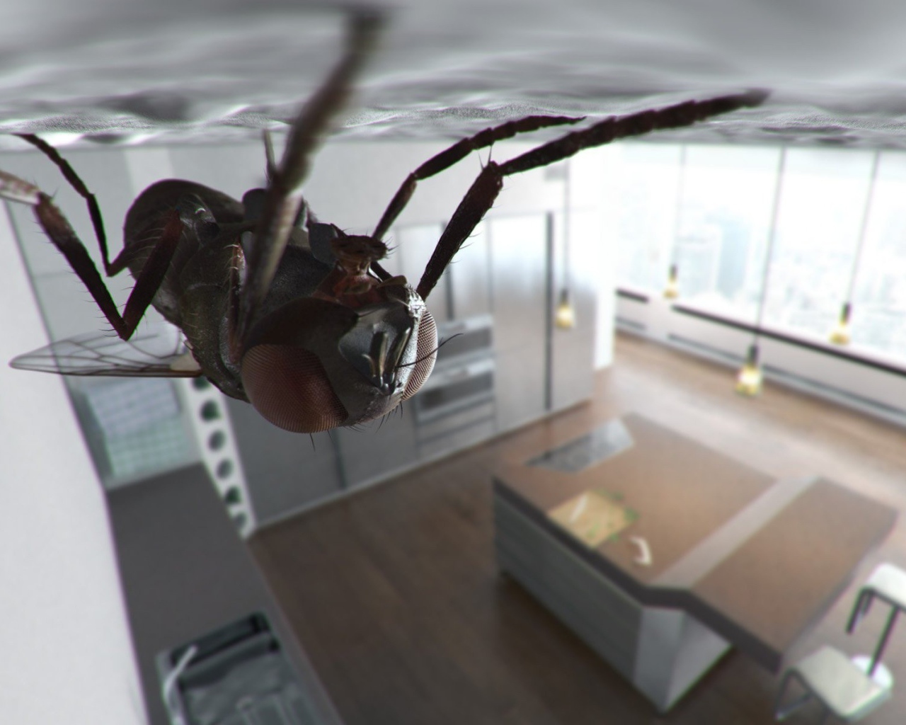 Муха сидит на потолке