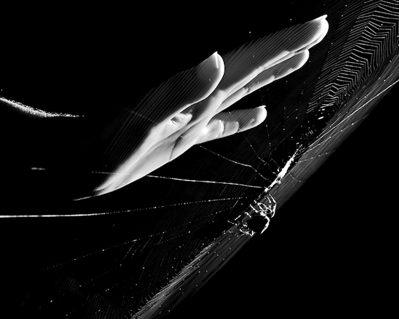 Рука у паутины