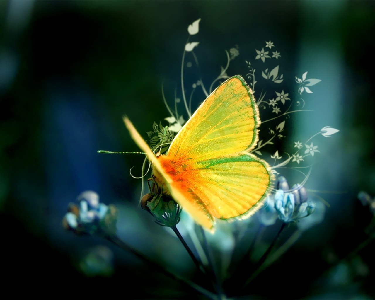 Желтая бабочка на цветке