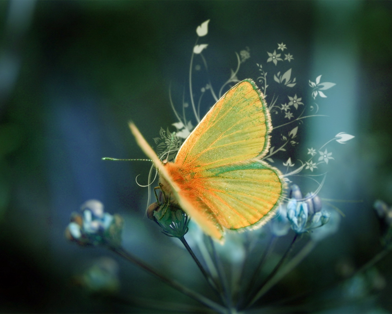 	   Yellow fluffy butterfly