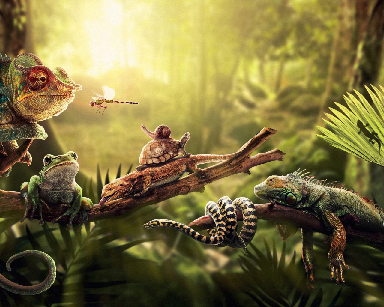 Насекомые ящерицы и змеи