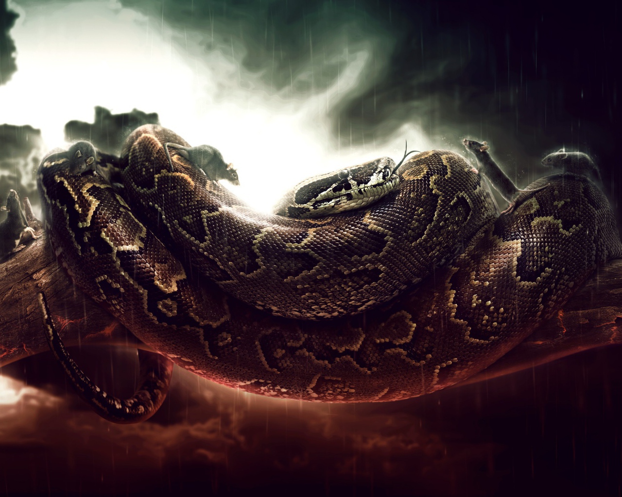 Мыши бегают по удаву