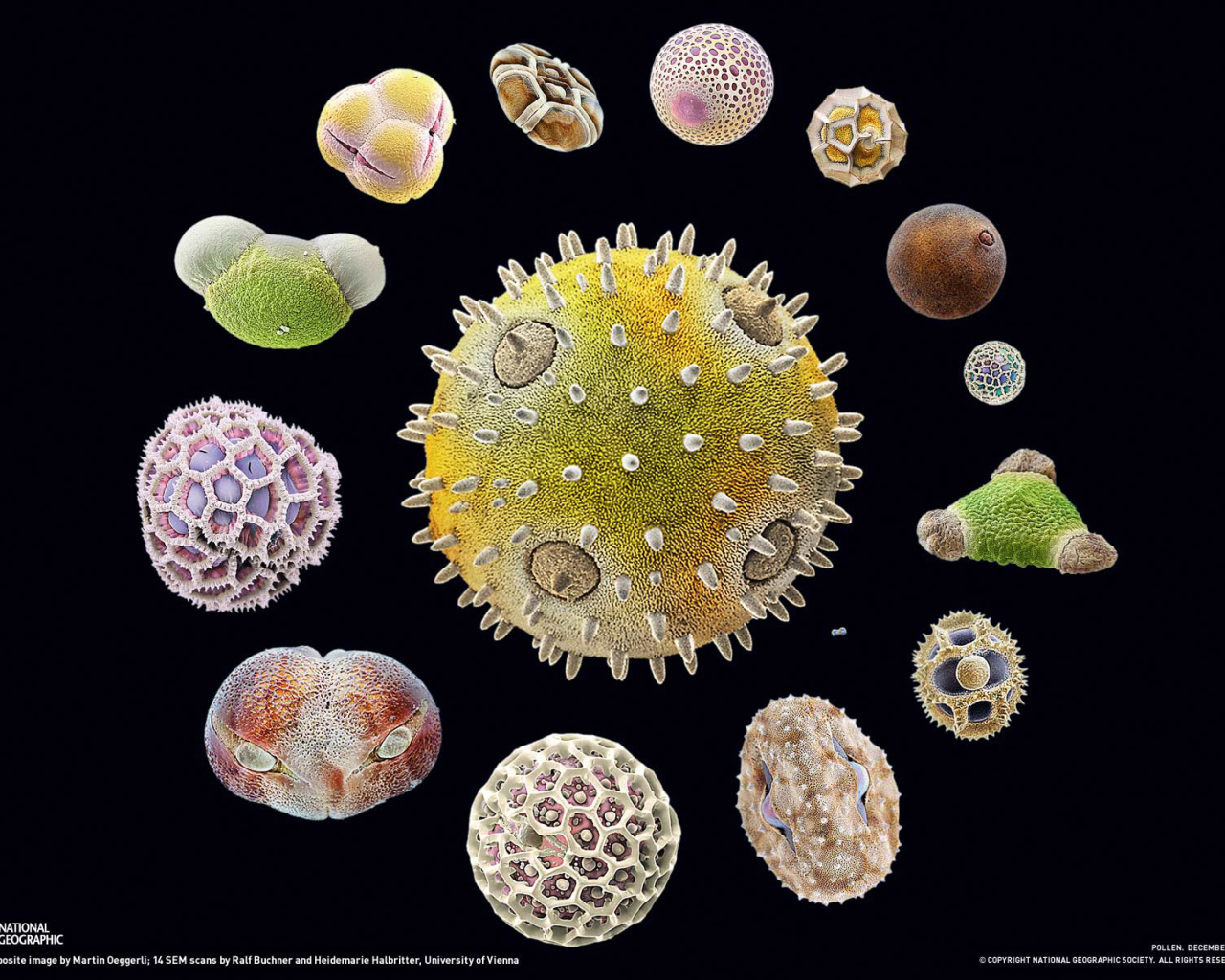 Морская тема