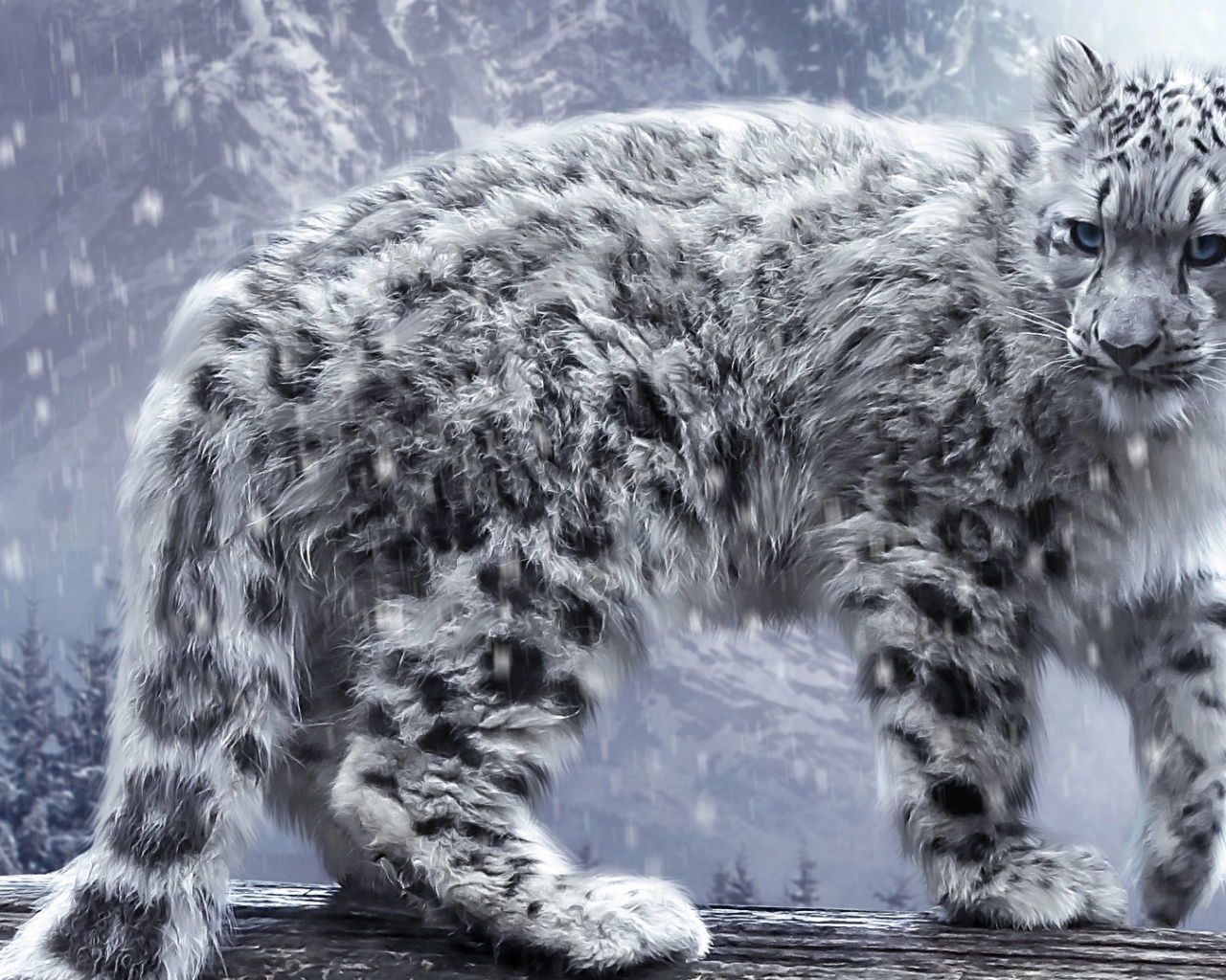 Белый леопард