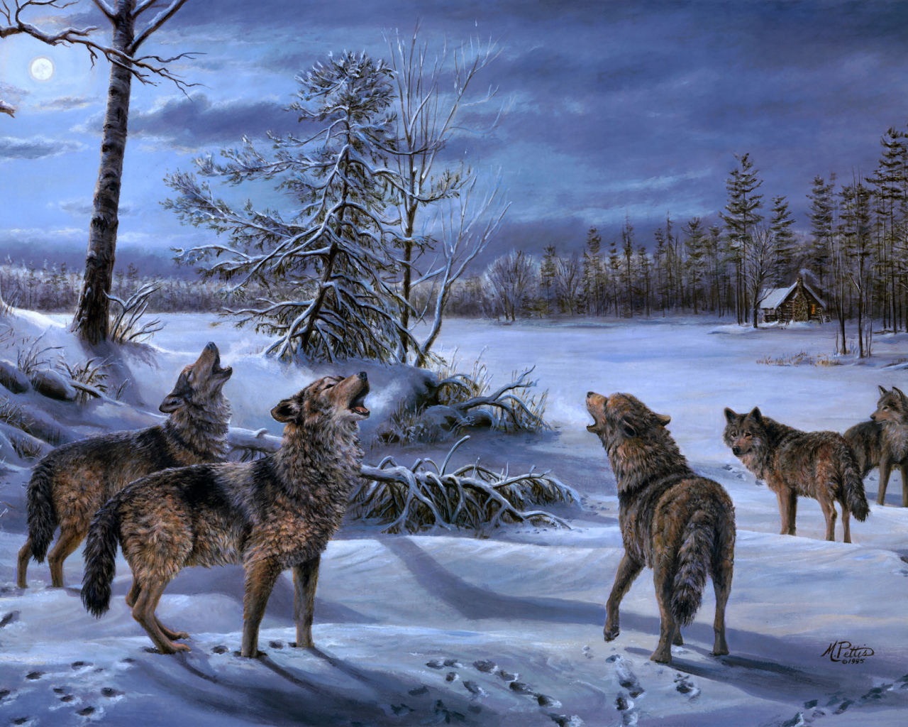 A pack of wolves moonlit night