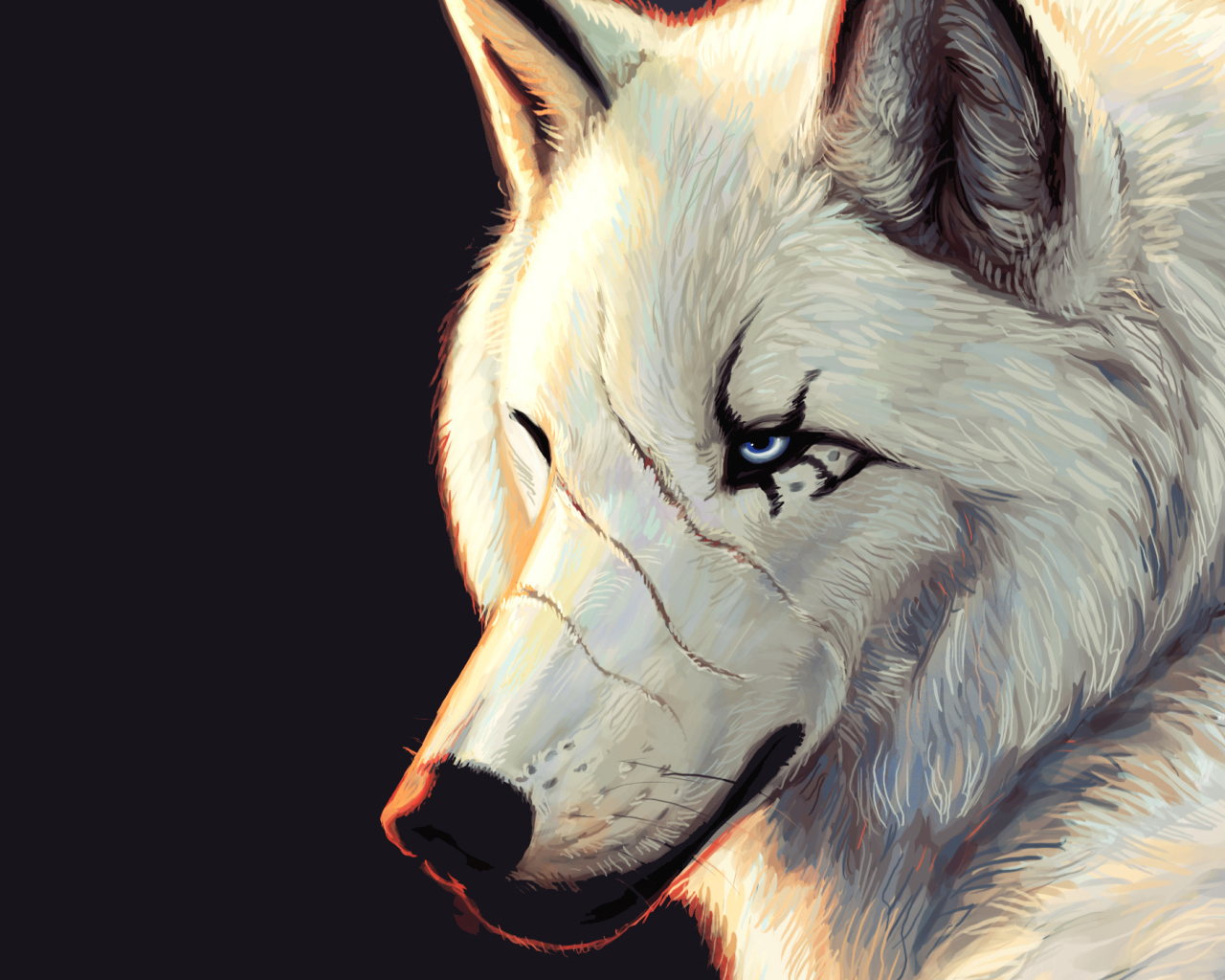 Белый волк со шрамами