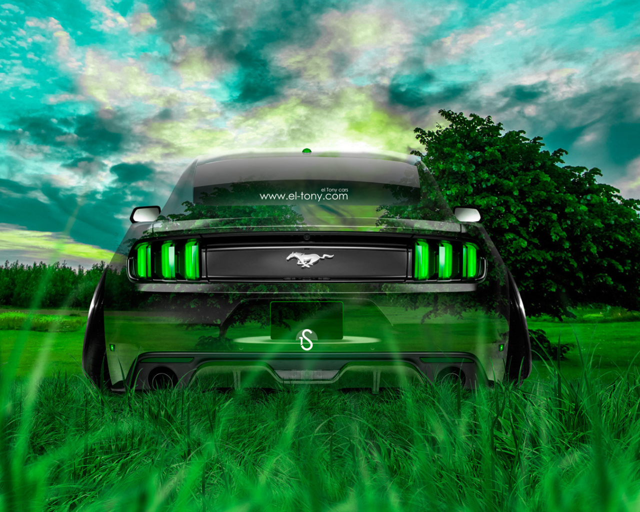 Мустанг единение с природой