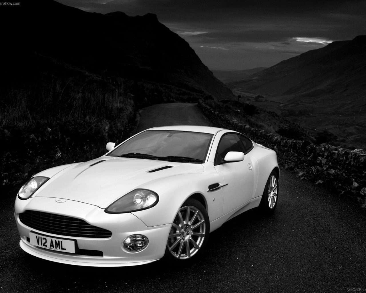 Тест драйв автомобиля Aston Martin v12