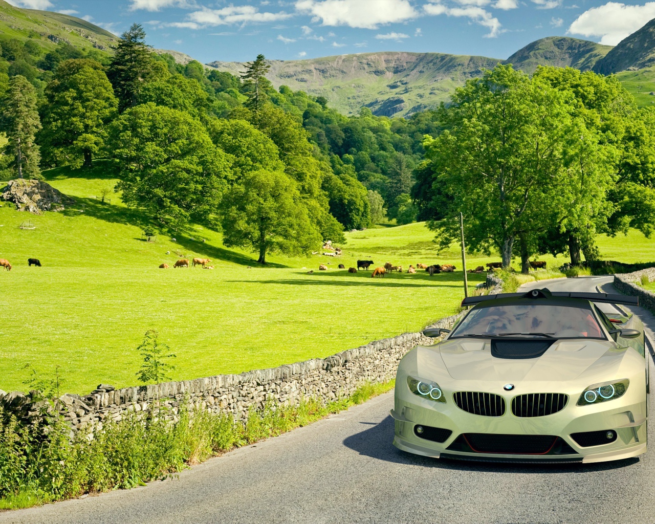 Автомобиль BMW на поле