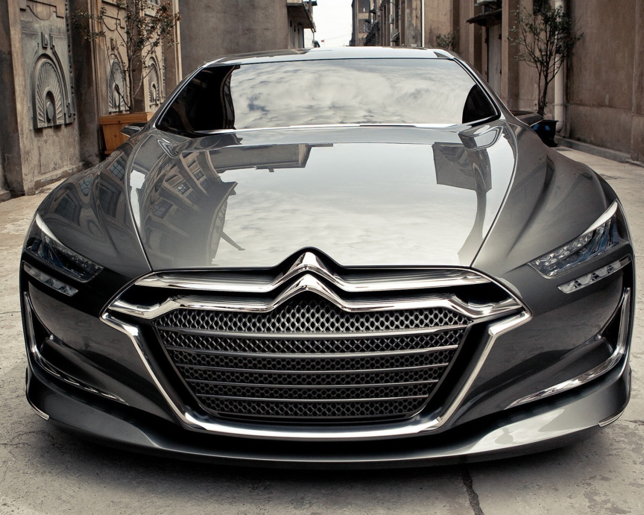 Современный Citroen metropolis