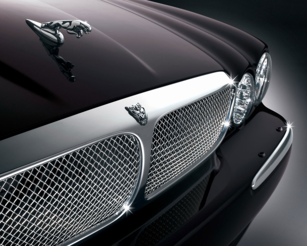 Передок Ягуара