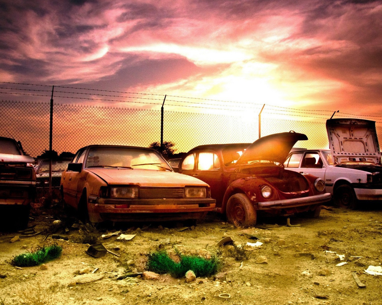 Свалка старых автомобилей