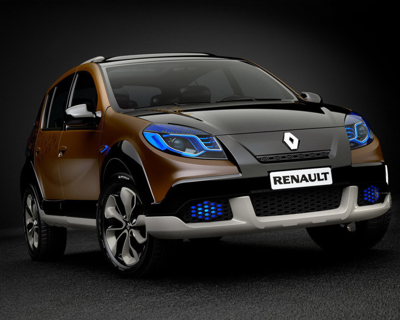 Красивый автомобиль Renault Sandero в Москве
