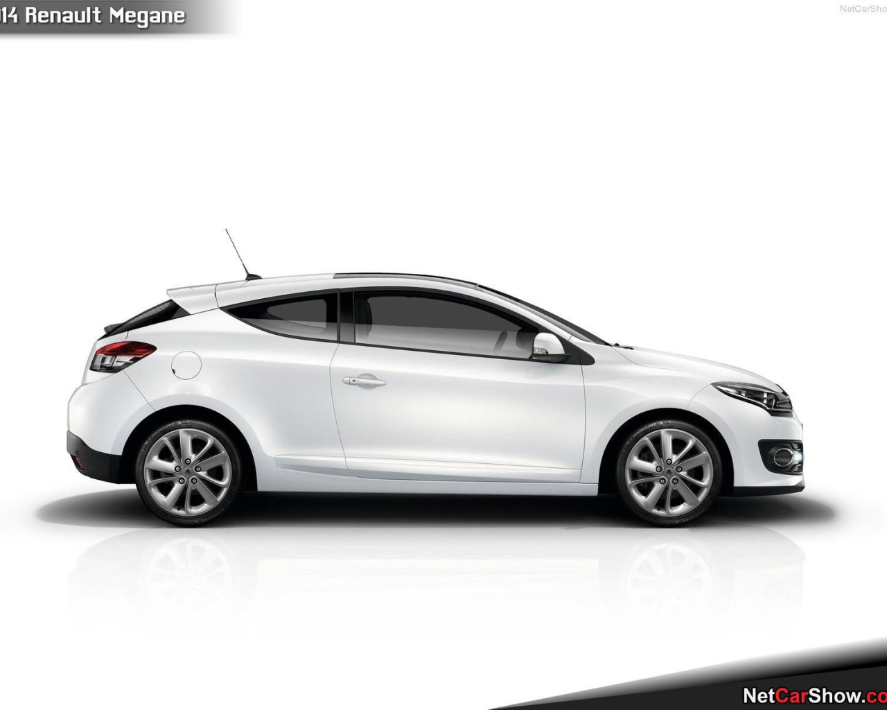 Фото автомобиля Renault Megane 2014