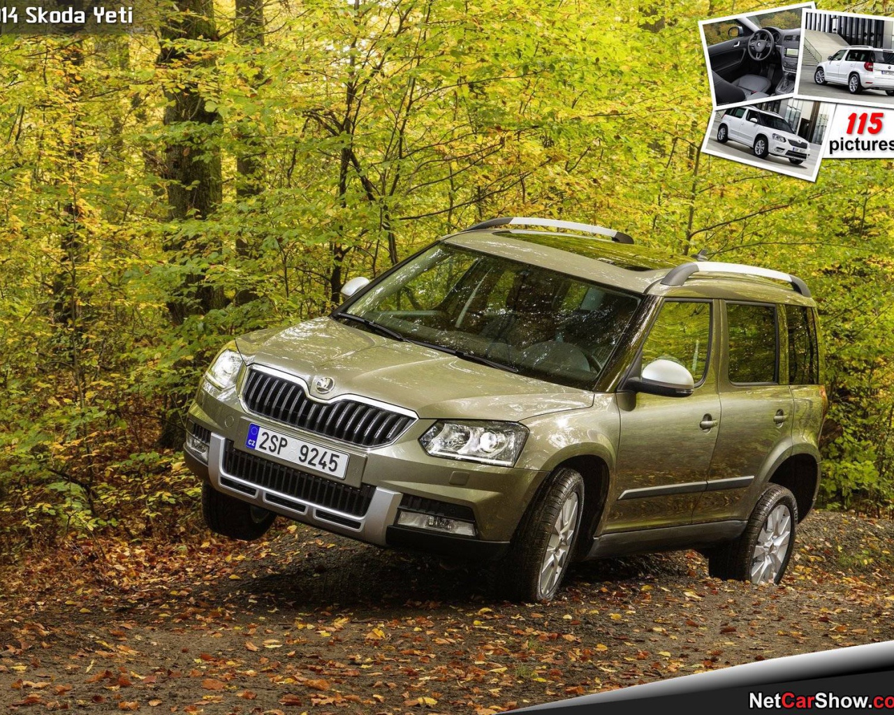 Надежная машина Skoda Yeti 2014