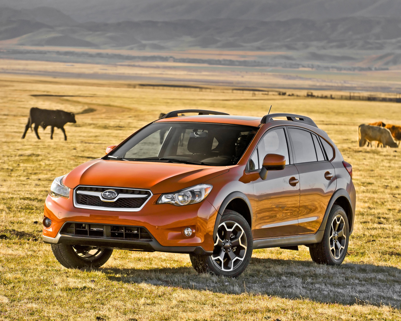 Тест драйв автомобиля Subaru XV