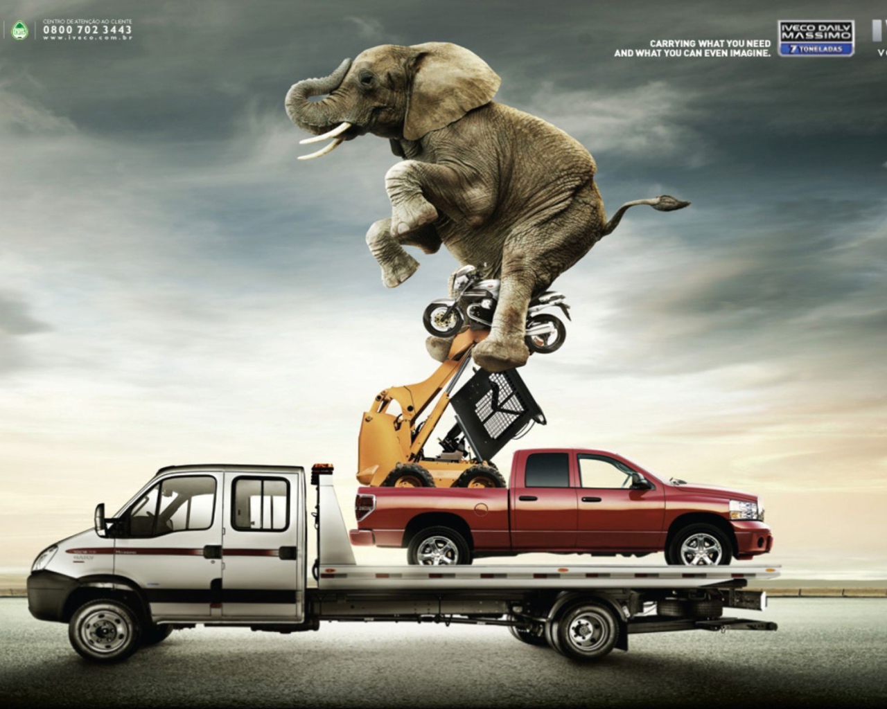 Слон на автомобиле