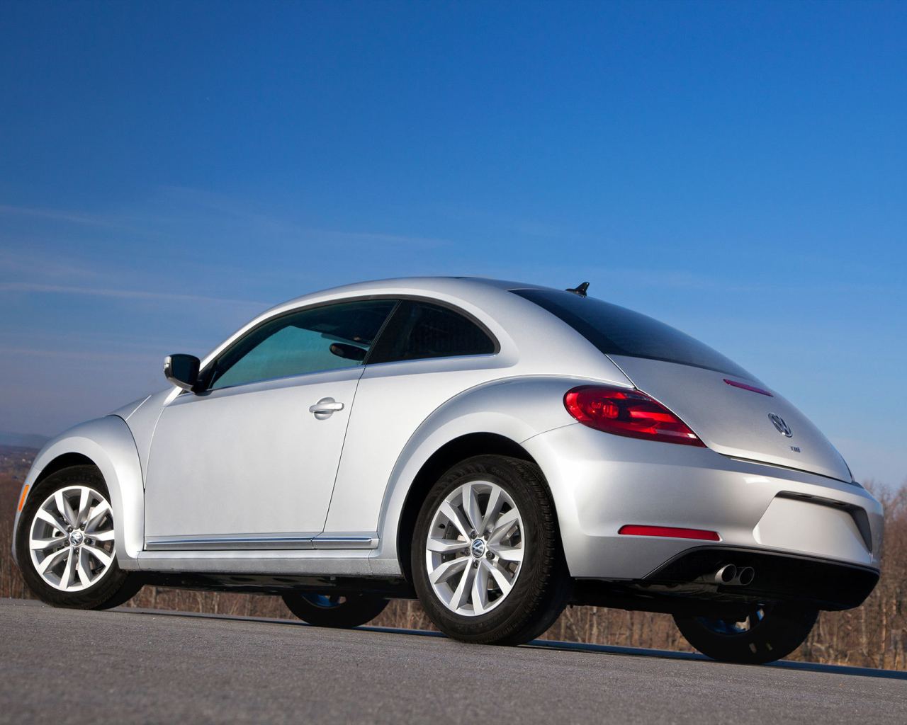 Фото автомобиля Volkswagen Beetle 2014