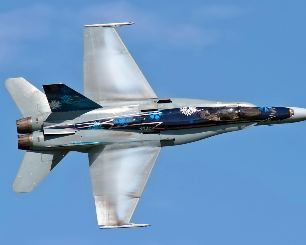 Самолет CF-18