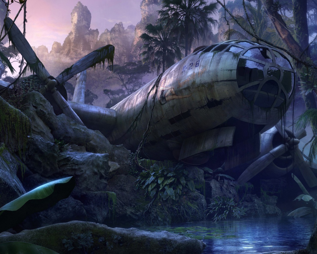 Самолет упал в джунгли